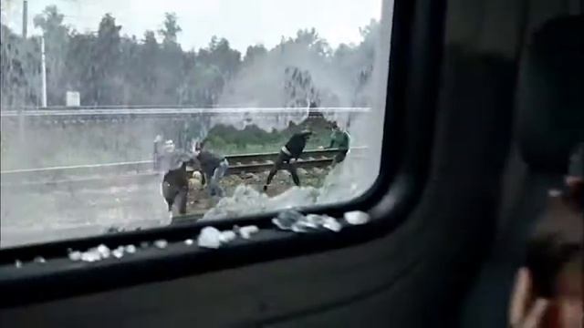 Закидывание камнями поездов