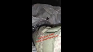 Разведка ЮВО