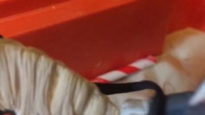 Типы Лошадей  ||