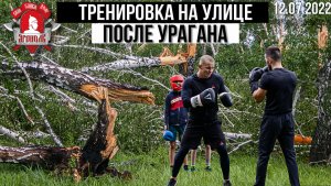 Тренировка на свежем воздухе. Бег в лесу после урагана, бокс на улице, Шадриков Илья, 12.07.2022