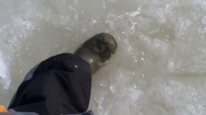 Зимняя рыбалка.Горьковское водохранилище. В сторону Климотино.24;25.02.17.