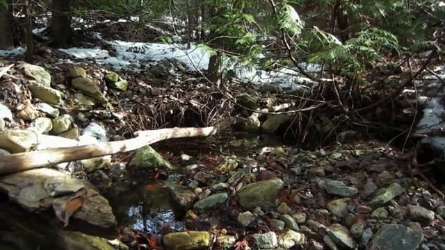 112. 3 ЧАСА ВОЗЛЕ РУЧЬЯ | НАНДИ И БАСМАКИ | relax смотреть онлайн