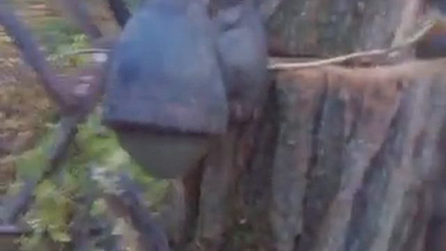 С ДНЕМ АВТОМОБИЛИСТА!!! смотреть онлайн