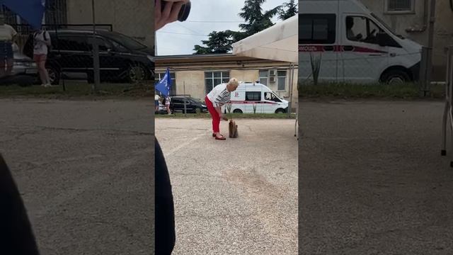 Хаммер от Нюшки-Плюшки 12 июня 2022, моно ВОВ смотреть онлайн