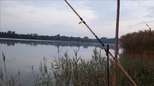 Ночная рыбалка на Дону. Секрет хорошего улова. На что ловили сазана?