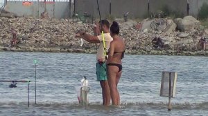 Ейск - промысел пеленгаса в начале августа 2021. Как ловится пеленгас.