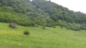 Хасаут Троица