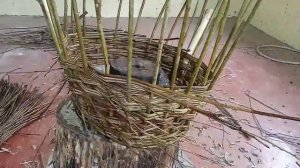 Плетение круглой корзины из ивы в ускоренном видео