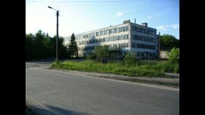 гусь хрустальный в фотографиях