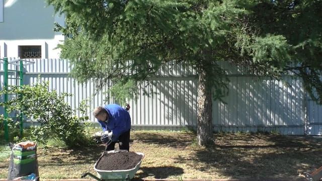 Восстановление газона. Просто! Скарификатор AL-CO СOMBI-CARE 38E, обзор с демонстрацией. Делаю сам смотреть онлайн