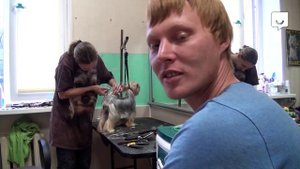 Как стать грумером?