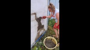 Ну что с ней делать😀