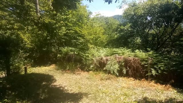 Сочи Национальный парк смотреть онлайн