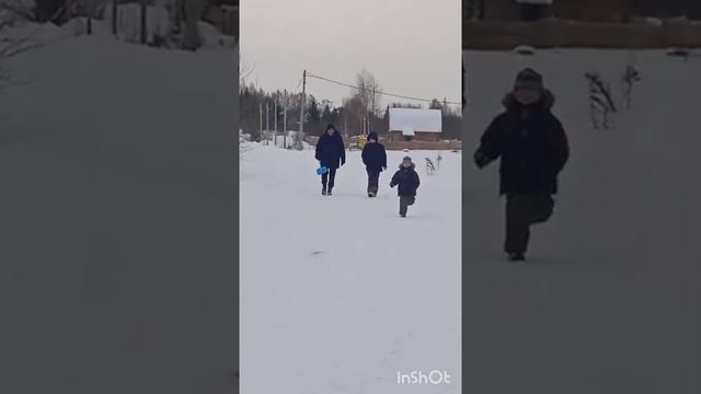 Два брата акробата Собаки балуются Мои откапывали машину