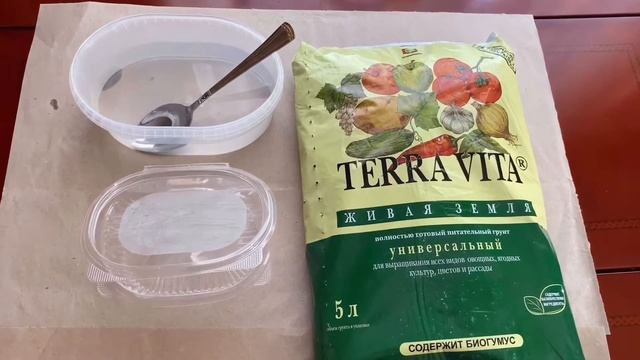 Компаньоны для роз. Обзор семян и посадка лобелии. смотреть онлайн