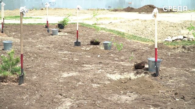 Торжественная церемония закладки сквера в память морякам КФЛ, погибшим в ходе войн