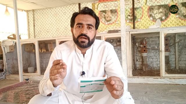 Best Business Idea | Fawn Java Business | Side Business Idea смотреть онлайн