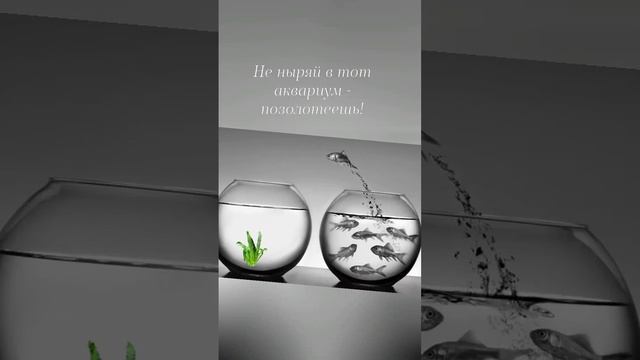 Краткая притча о Золотой Рыбке ?