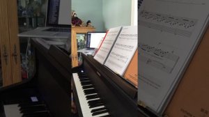 C.B. Piano Video 2b Diversion