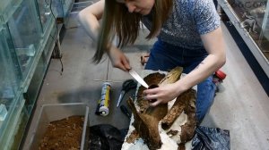 Как сделать очень красивый террариум для лягушек своими руками?