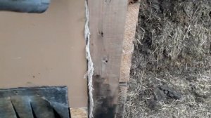 Сарай для поросят .обзор