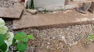 Дренаж, дождеприемники, укладка плитки (часть2)