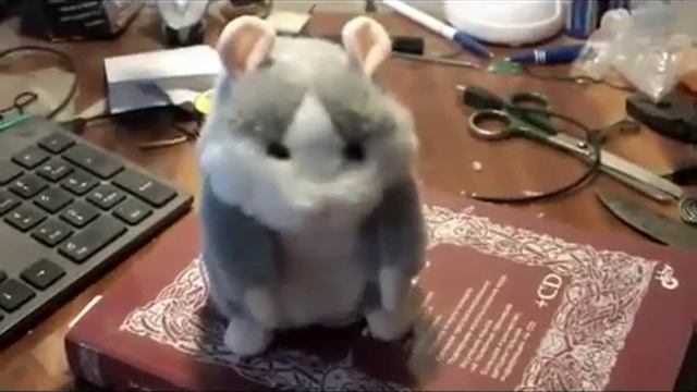 Хомяк Мышка повторюшка смотреть онлайн