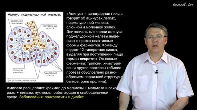 из тич ин - про зубы -учёный В. Альбертович Дубынин смотреть онлайн