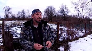 Как мы гусей водили // Разведение гусей