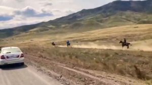 Аныяк челер аъттар