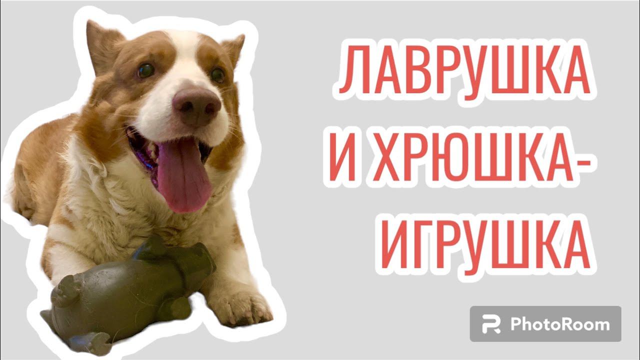 Лаврушка и хрюшка-игрушка