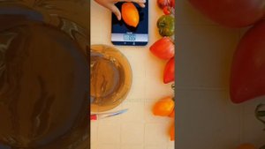 Сорт томата ОРАНЖЕВОЕ ЧУДО?