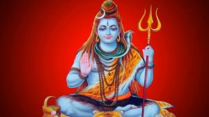 Почему говорят, что у кошек девять жизней? Откуда же  и как давно появилось это выражение?