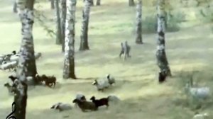 Деревенское детство моё - из х/ф ,,Вот моя деревня" (1972)