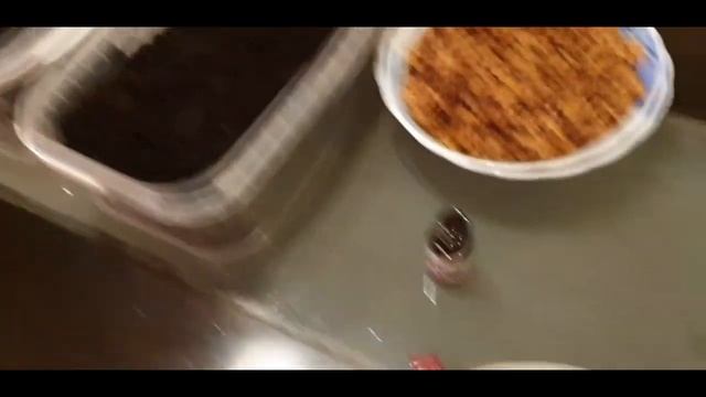 Как вырастить ПИХТУ корейскую из СЕМЯН!!! смотреть онлайн