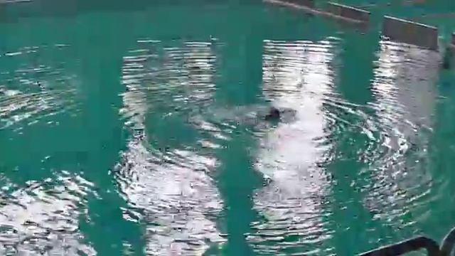 Оплачкина Диана Чемпионат республики Казахстан по синхронному плаванию среди детей 12 и моложе смотреть онлайн