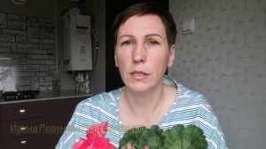 Как я переехала в Краснодарский край, как искала дом, поиск станицы, покупка, перевозка вещей