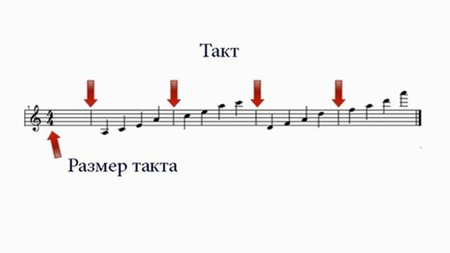 Сколько тактов. Размер такта 2/4. Размер такта. Размер такта в Музыке. Музыкальный такт.