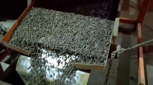 Гранула из лузги подсолнечника