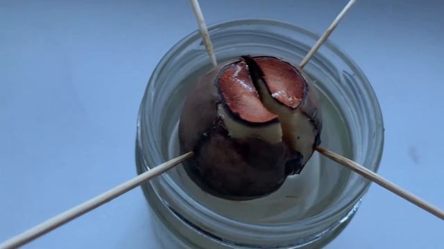 Дача на балконе 2021_2 / NEmouse смотреть онлайн