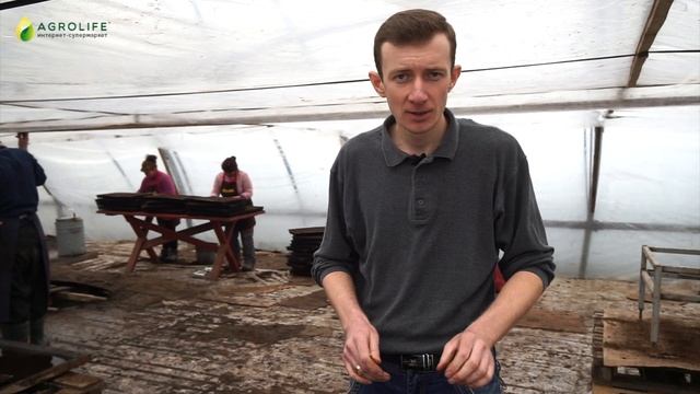 КАК ПРАВИЛЬНО ПОСЕЯТЬ КАПУСТУ | ПОСЕВ КАПУСТЫ С АГРОЛАЙФ смотреть онлайн