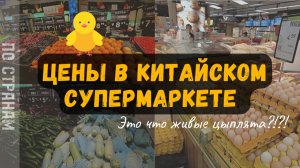 Цены в Китайском супермаркете. Город Шанхай 2023. Продают живых цыплят ???