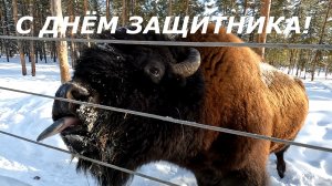 С днём защитника Отечества!