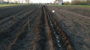 ПОСАДКА КАРТОФЕЛЯ ПОД МОТОБЛОК 23.04.2019.