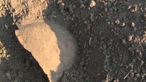 коп по войне(итальянские позиции)