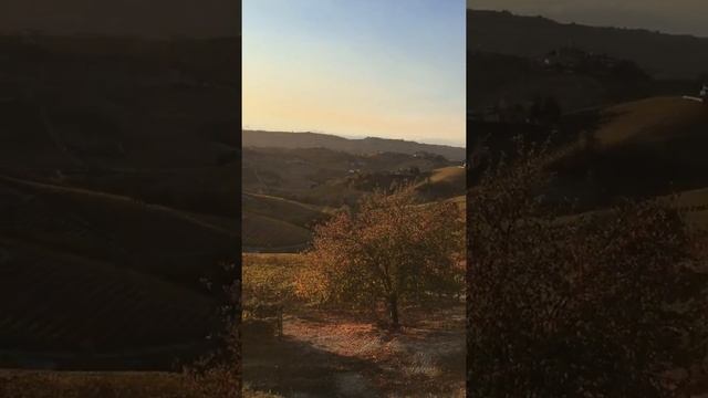 Sunset In Serralunga D’alba - Italy