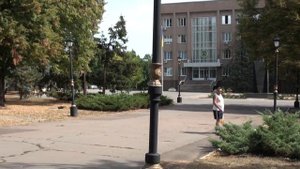 видеокамера SONY HDR-CX 550E тест