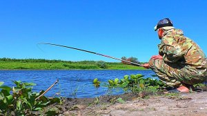 СКАЗКА, А НЕ РЫБАЛКА НА КАРАСЯ.  Рыбалка на поплавочную удочку. Крупный карась