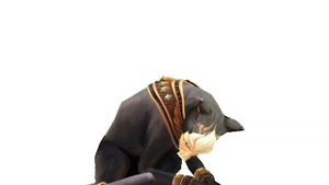 Анубис мой бывший?! вайлд крафт