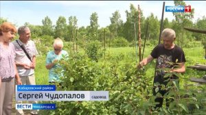 В гости к Гаригуэтте: Хабаровский садовод собрал рекордный урожай и открыл участок для дачников